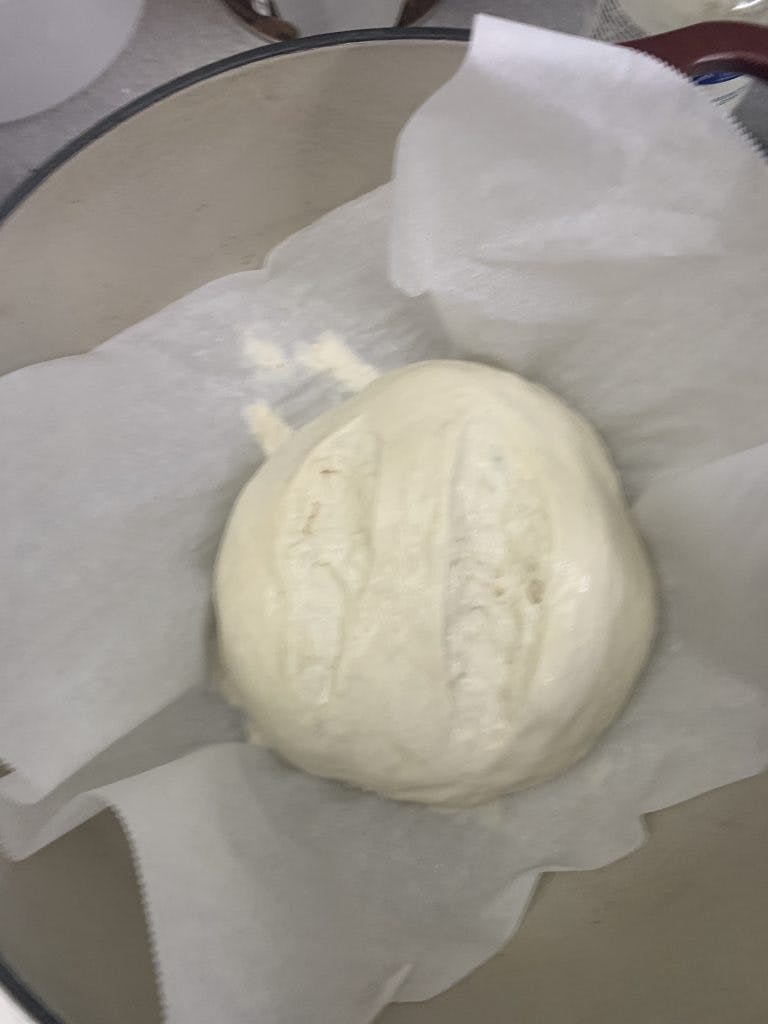 The dough ball shaped and scored and placed into a dutch oven with water spritzed on it.