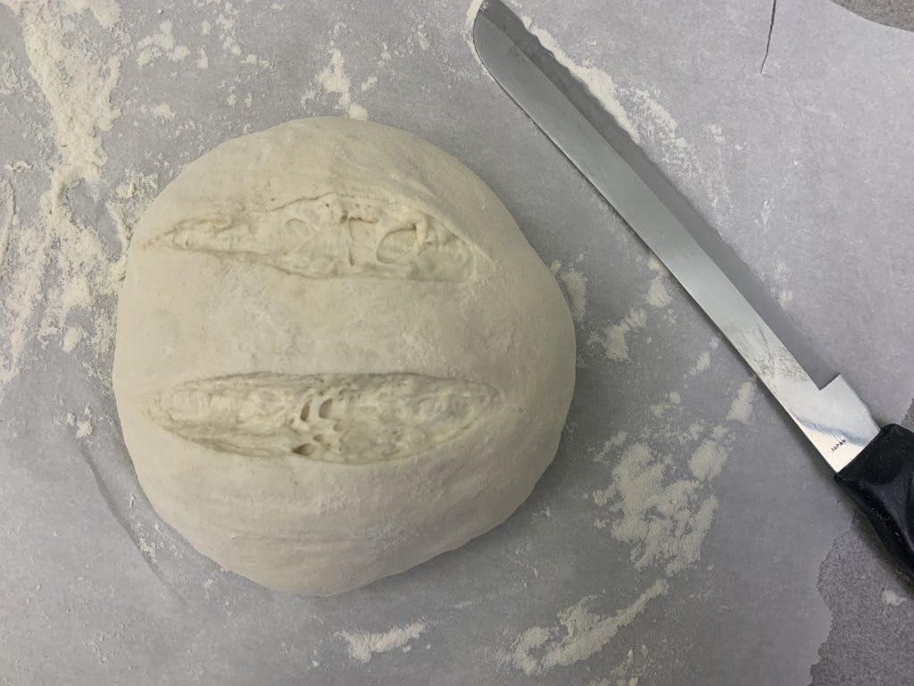 The doughball, shaped again with scores cut across it by a bread knife.